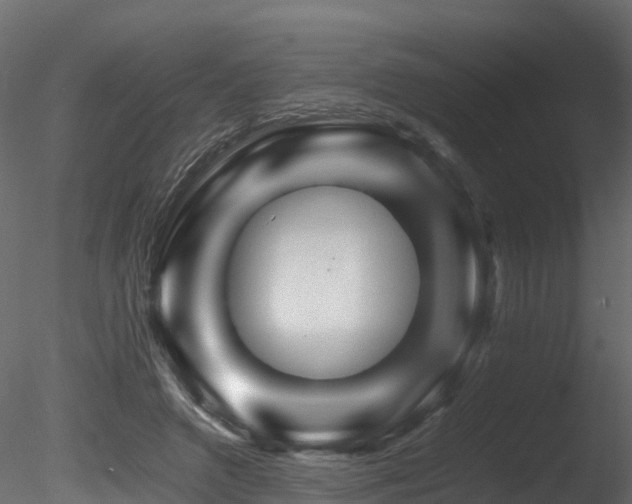 X0000085840546200703161353