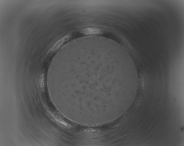 X0000085840549200703161353
