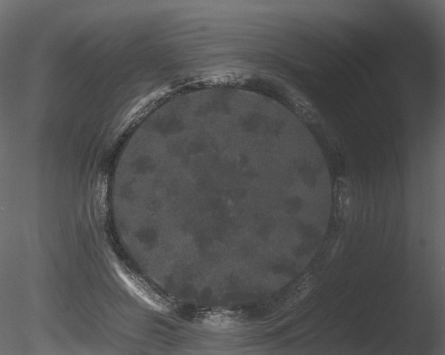 X0000085840550200703161353