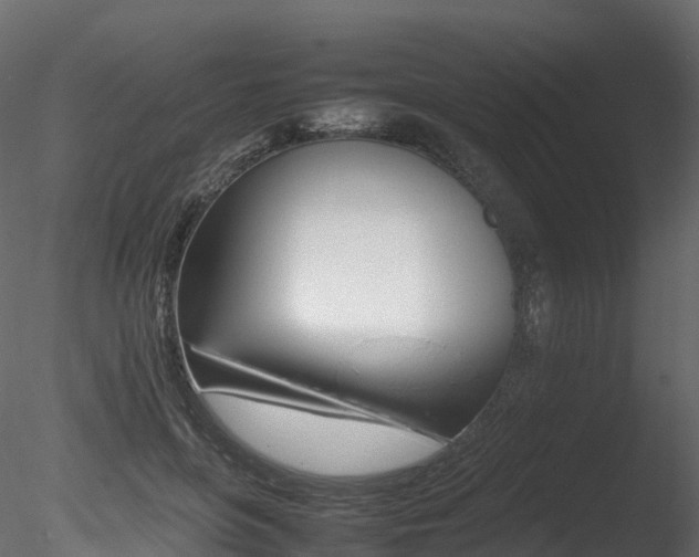 X0000085840551200703161353