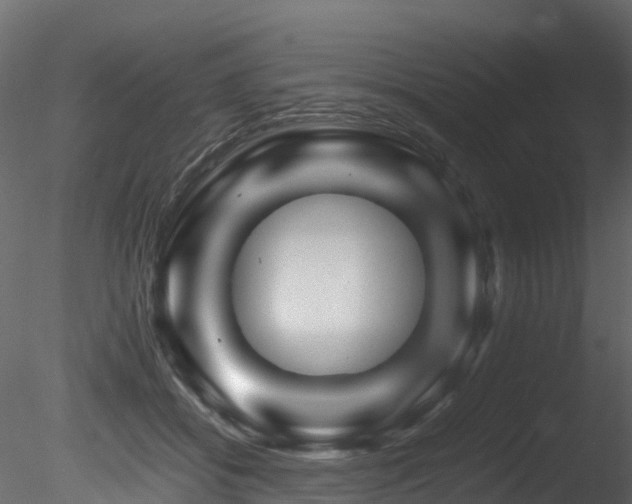 X0000085840556200703161353