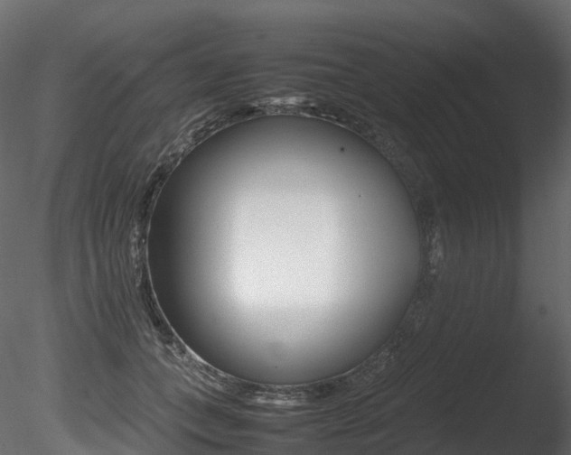 X0000085840559200703161354