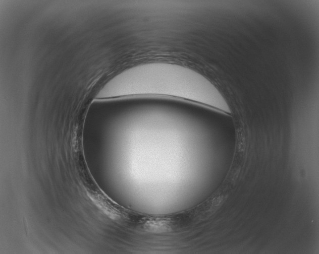 X0000085840560200703161354