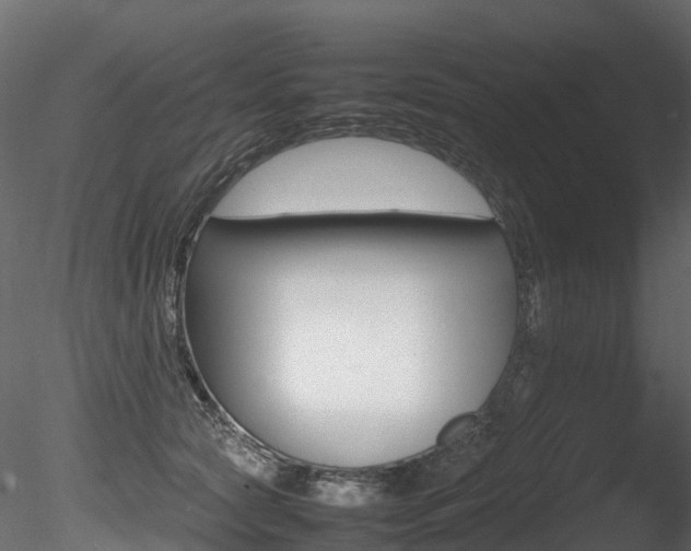 X0000085840561200703161354