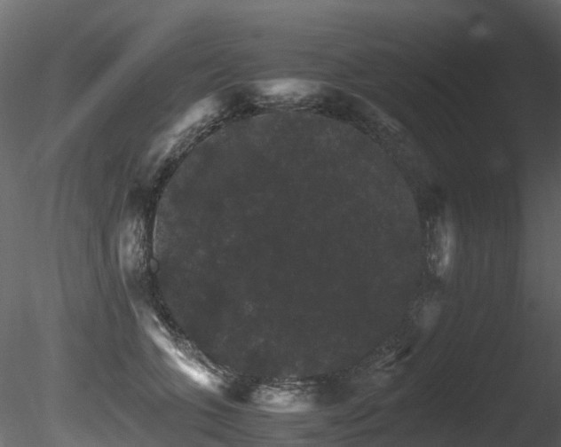 X0000085840563200703161354