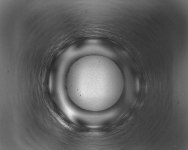 X0000085840566200703161354