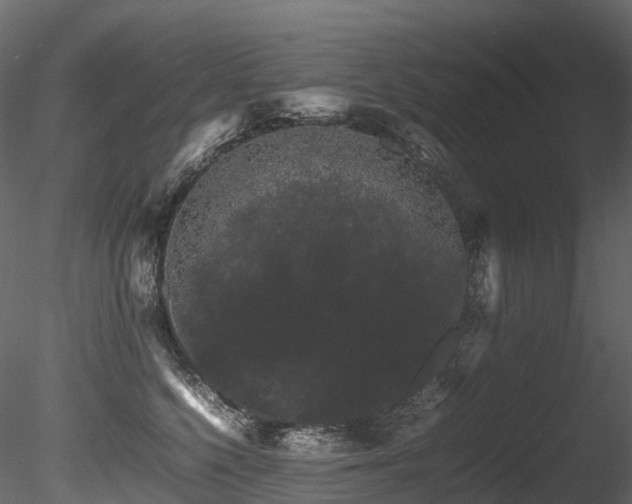 X0000085840568200703161354