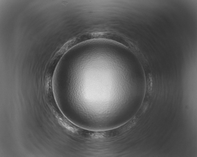 X0000085840574200703161354