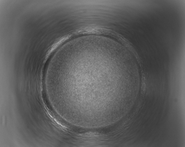 X0000085840578200703161353