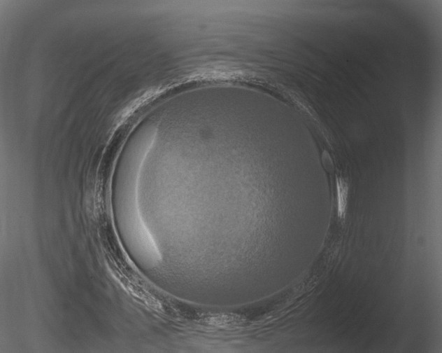 X0000085840579200703161353