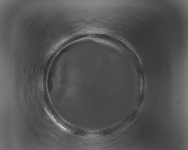 X0000085840581200703161353