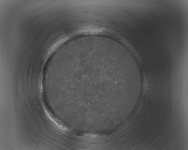 X0000085840582200703161353