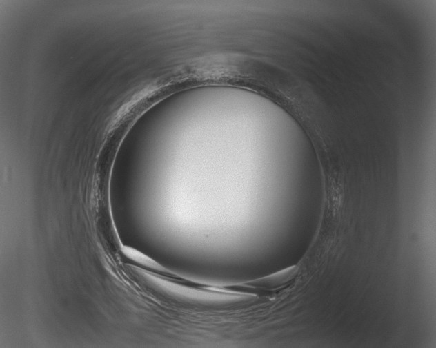 X0000085840583200703161353
