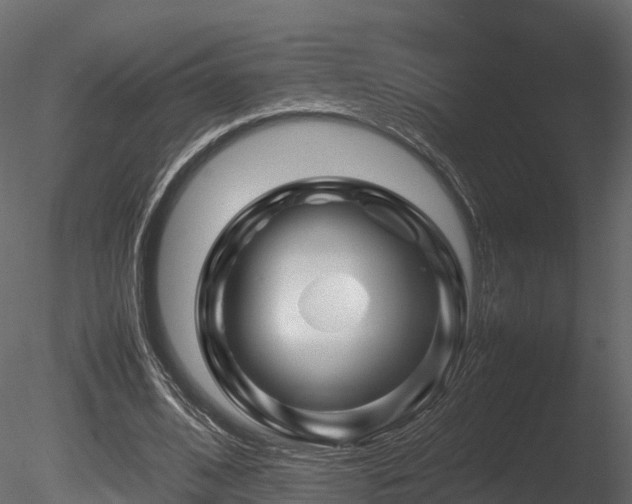 X0000085840584200703161353