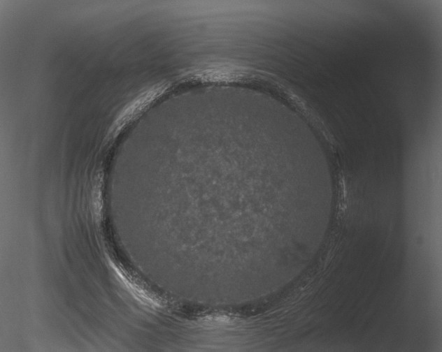 X0000085840586200703161353