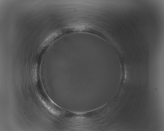 X0000085840590200703161353