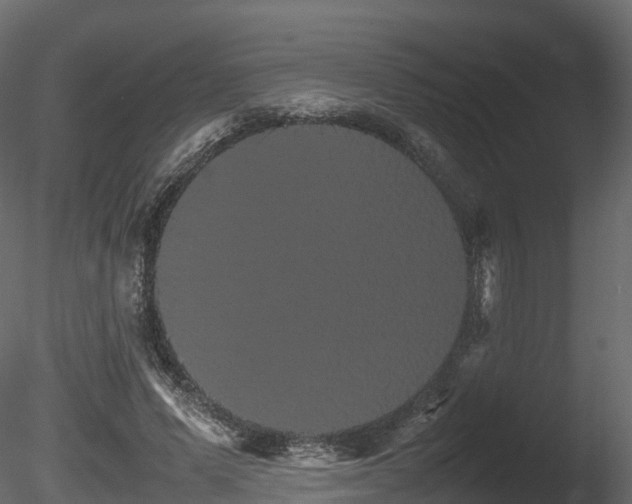 X0000085840591200703161353