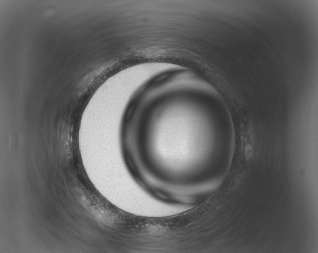 X0000085840592200703161353
