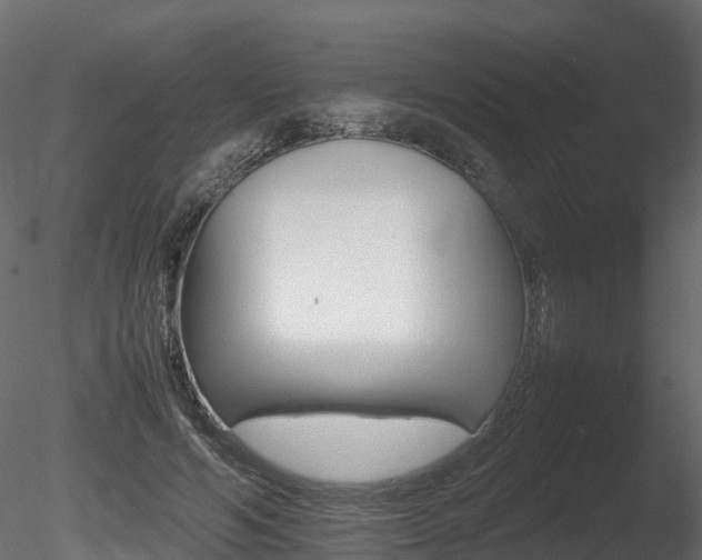 X0000085840594200703161353