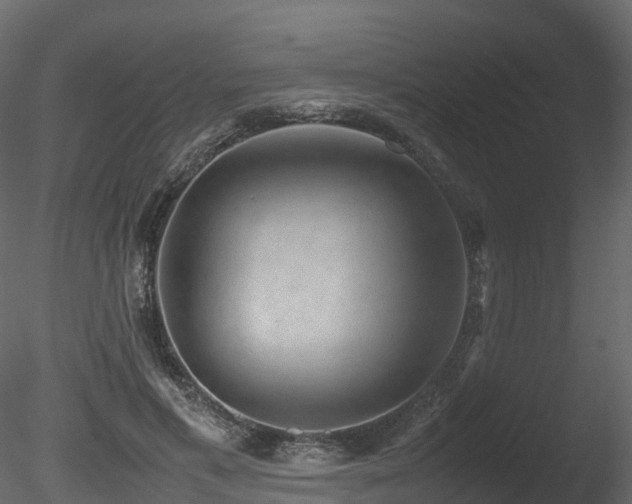 X0000085840597200703161353