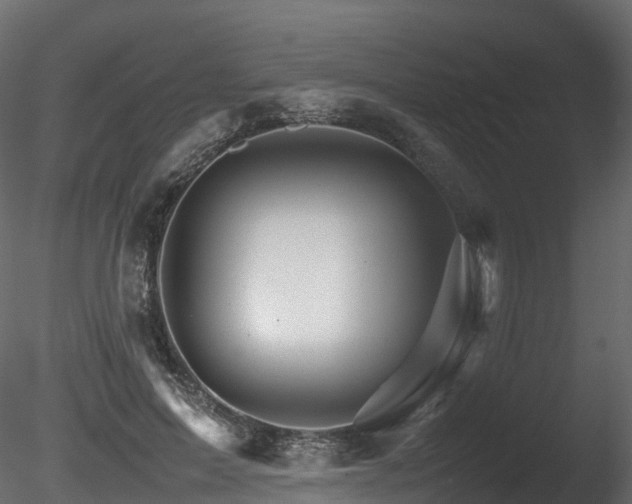 X0000085840599200703161353