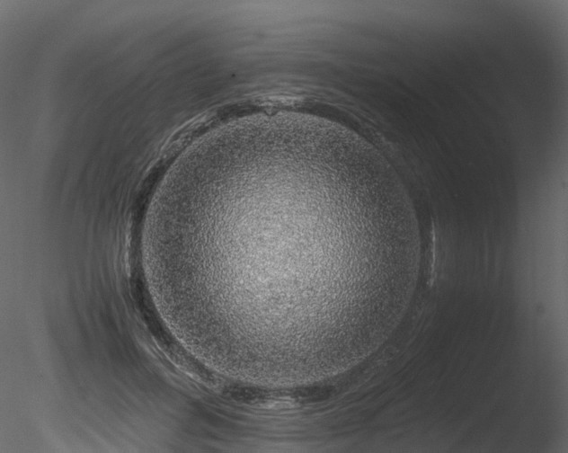 X0000085840600200703161353