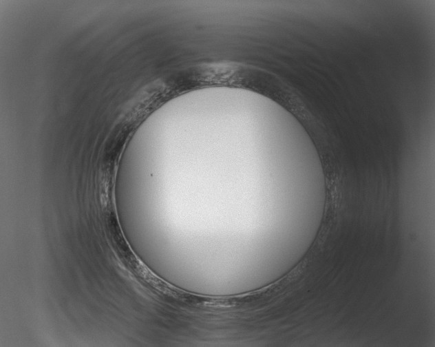 X0000085840602200703161353