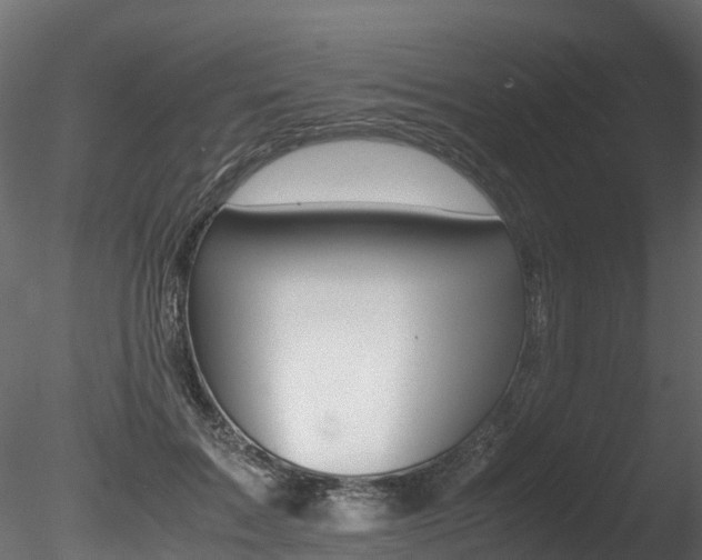 X0000085840603200703161353