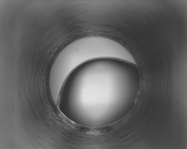 X0000085840604200703161353