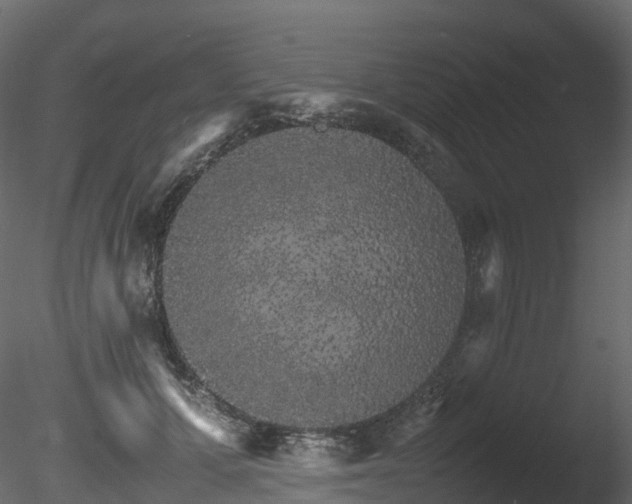 X0000085840607200703161353