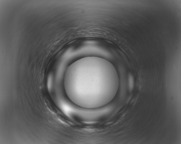 X0000085840608200703161352