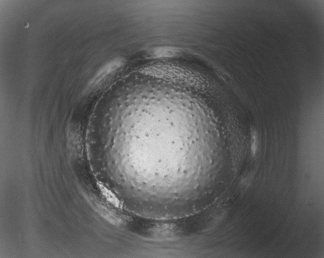 X0000085840609200703161352