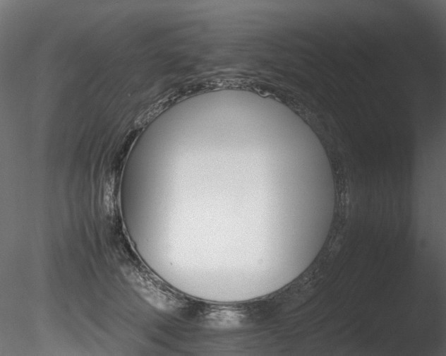 X0000085840610200703161352