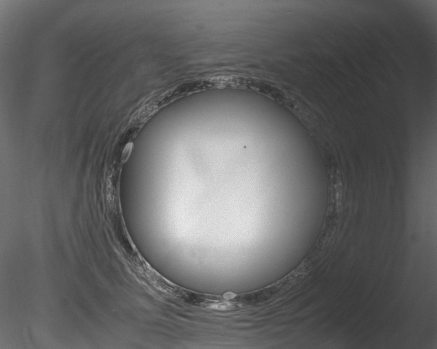 X0000085840611200703161352