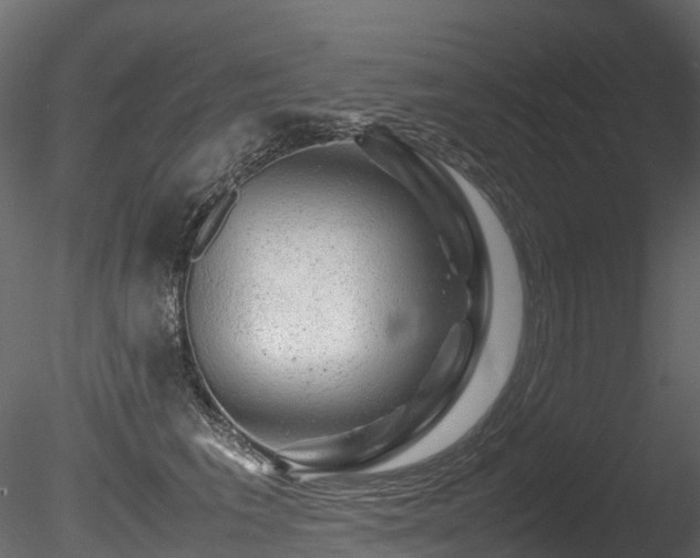 X0000085840613200703161352