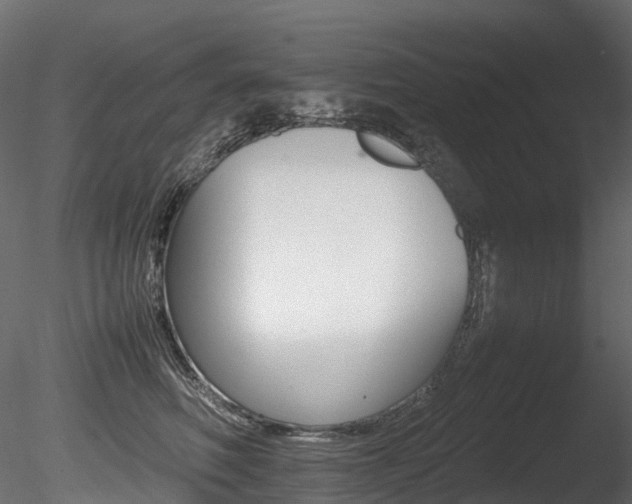 X0000085840614200703161352