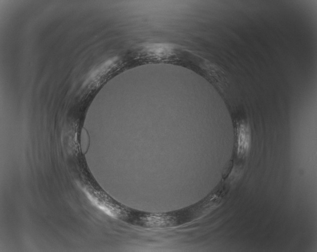 X0000085840615200703161352