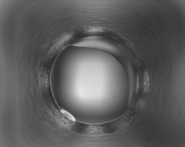 X0000085840617200703161352