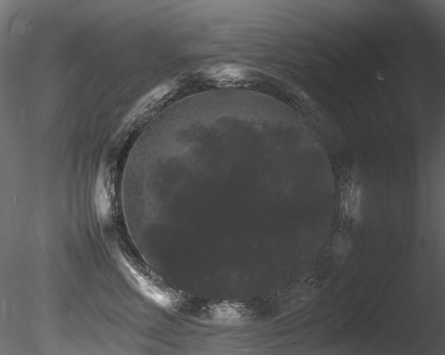 X0000085840618200703161352