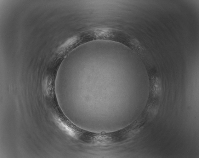 X0000085840619200703161352