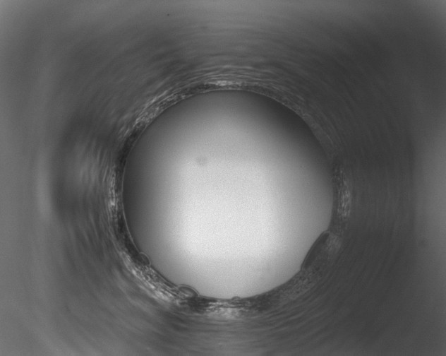 X0000085840620200703161352