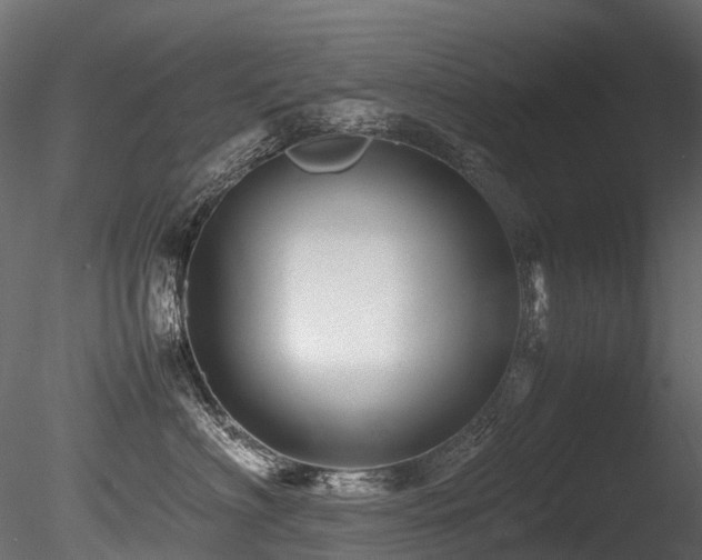 X0000085840622200703161352