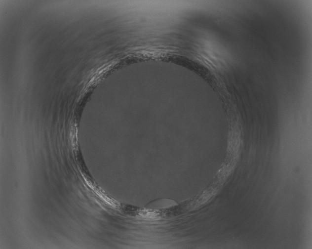 X0000085840624200703161352