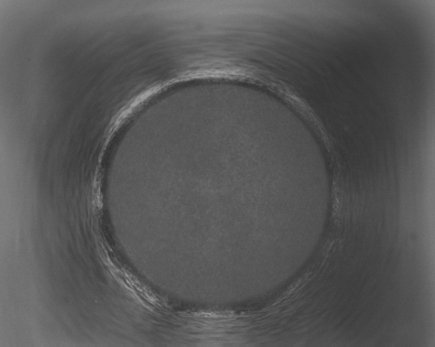 X0000085840628200703161351