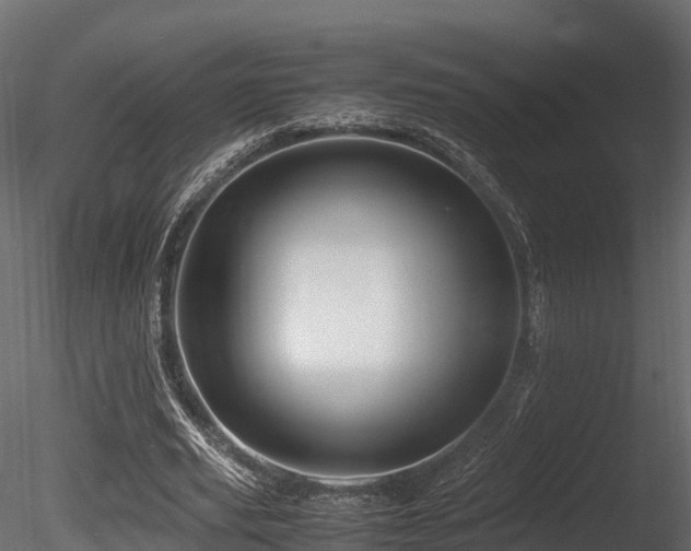 X0000085840629200703161351
