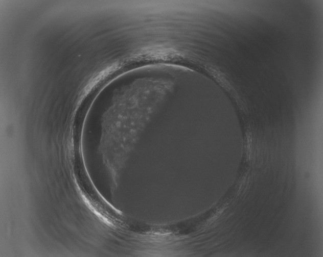 X0000085840630200703161351
