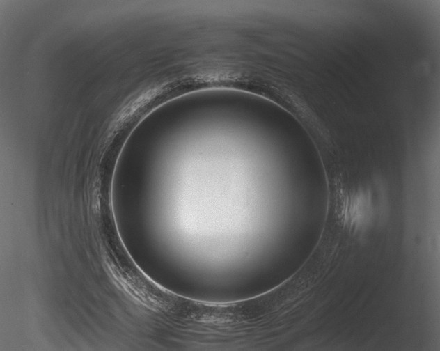 X0000085840631200703161351