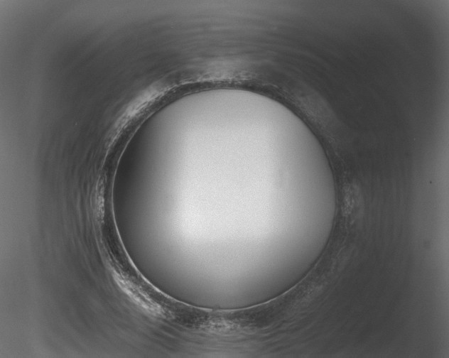 X0000085840632200703161352
