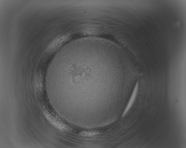 X0000085840639200703161352