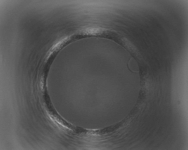 X0000085840640200703161352